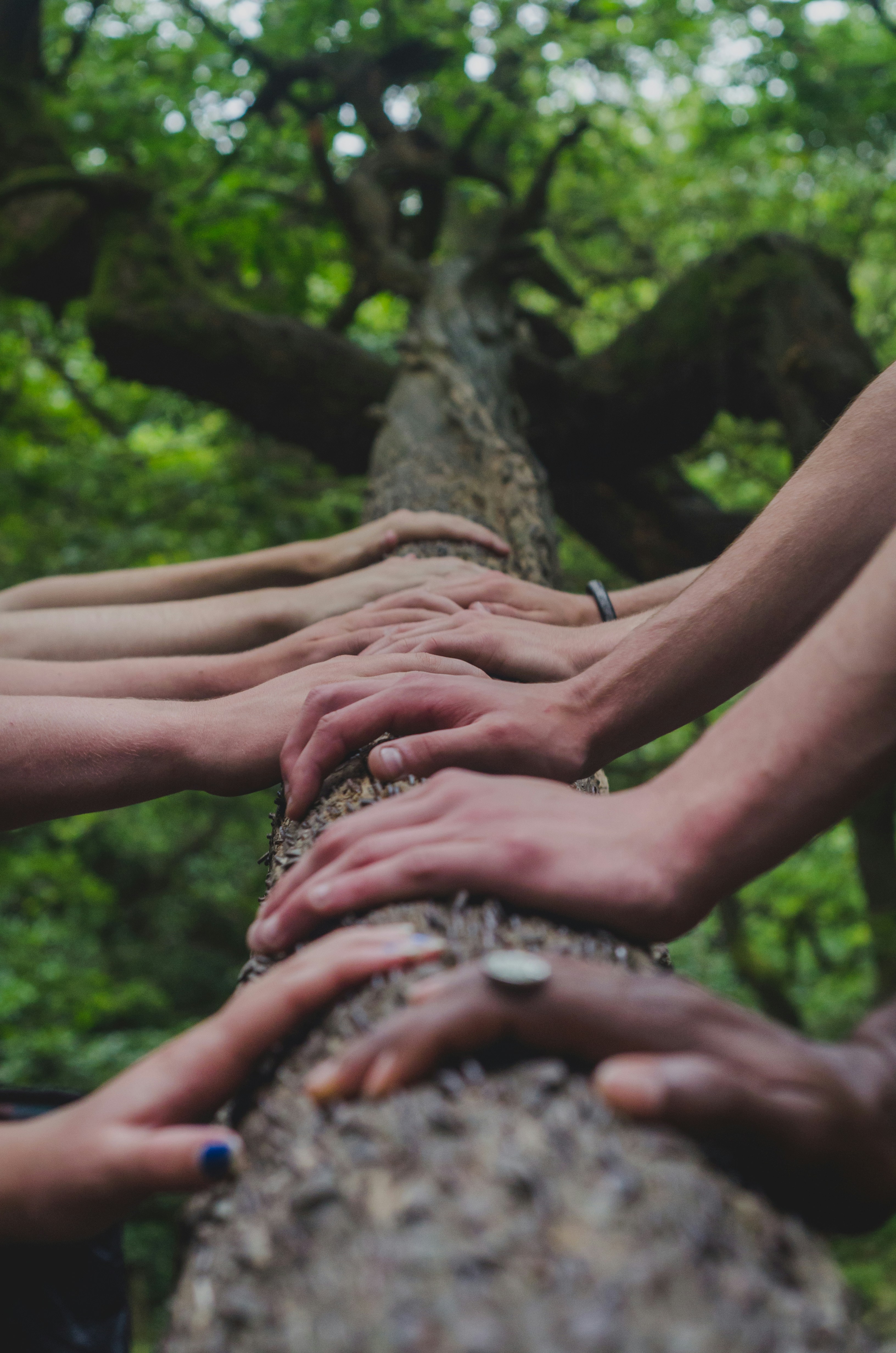 estate planning for aging parents
